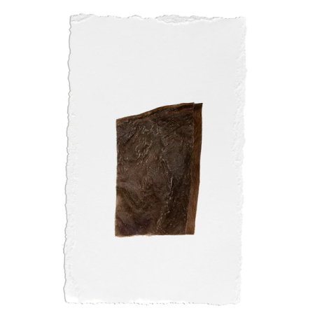 NJORD PET Nötchips 5-pack