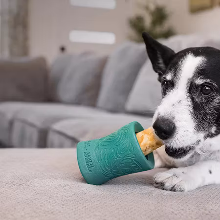 Westpaw Zogoflex Funnl Large