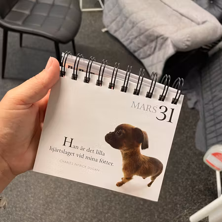 Second hand: kalender-bok ny