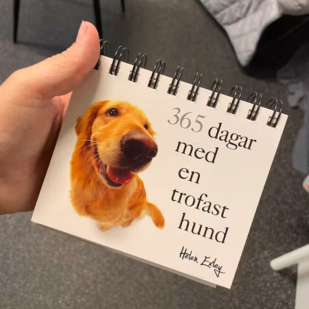 Second hand: kalender-bok ny