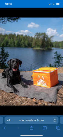 MUSH Kylväska