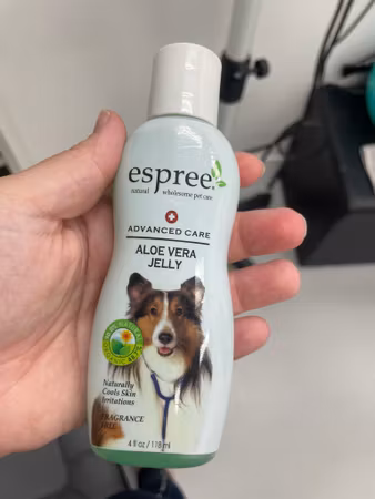 Second hand: Aloe vera