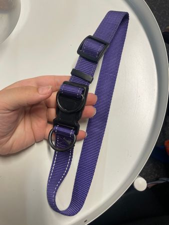 Second hand: ställbart halsband lila reflex