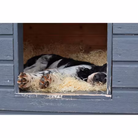 Ruti-rex Träull 10kg