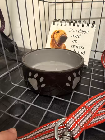 Second hand: keramikskål