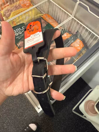 Second hand: dogman läderhalsband