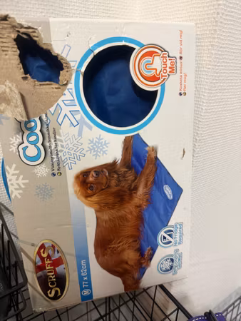 Second hand: Kyldyna