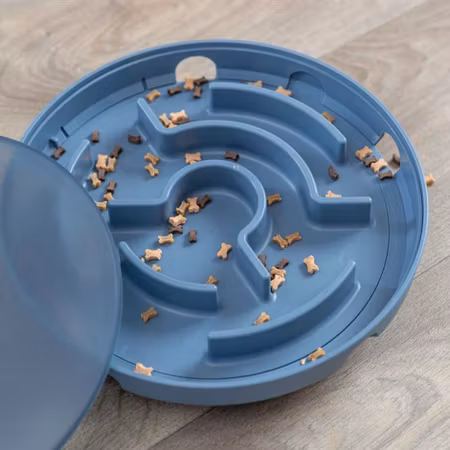 Trixie Dog activity Rocking maze