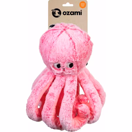 Ozami Octopus