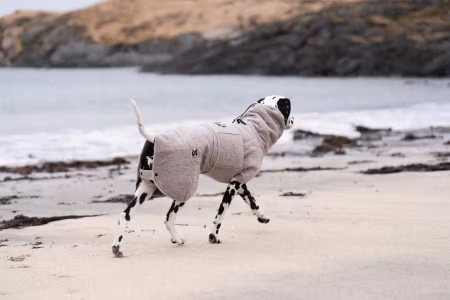 Non-stop dogwear Drying coat