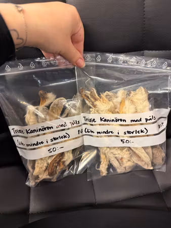 Trixie Kaninöron med päls (mindre i storlek, 10st)