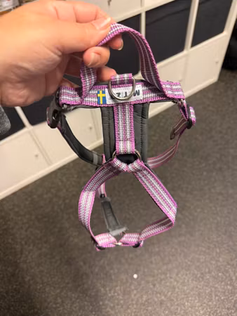 Second hand: Metizo future walking S