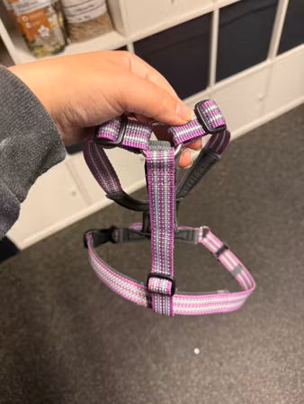 Second hand: Metizo future walking S