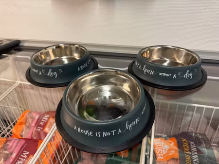 Second hand: Trixie skål med gummilist