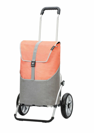 Shoppingvagn Royal Vigo