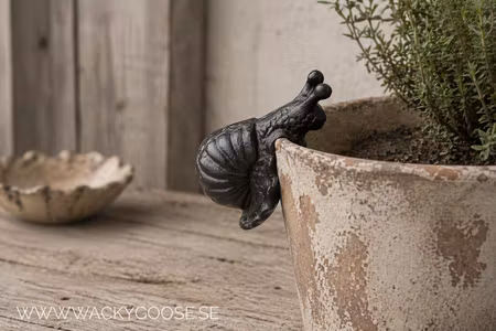 Krukdekoration, Snigel, 3-pack