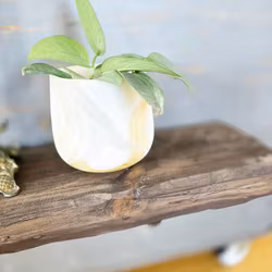 Vägghylla industri, Drivved Lång