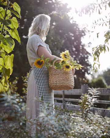 COLLECT Korg, set om 2, Natur