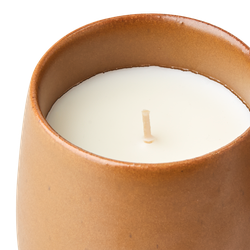 RO Doftljus Cinnamon & apple
