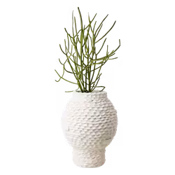 CREAM Kruka M, Elfenben