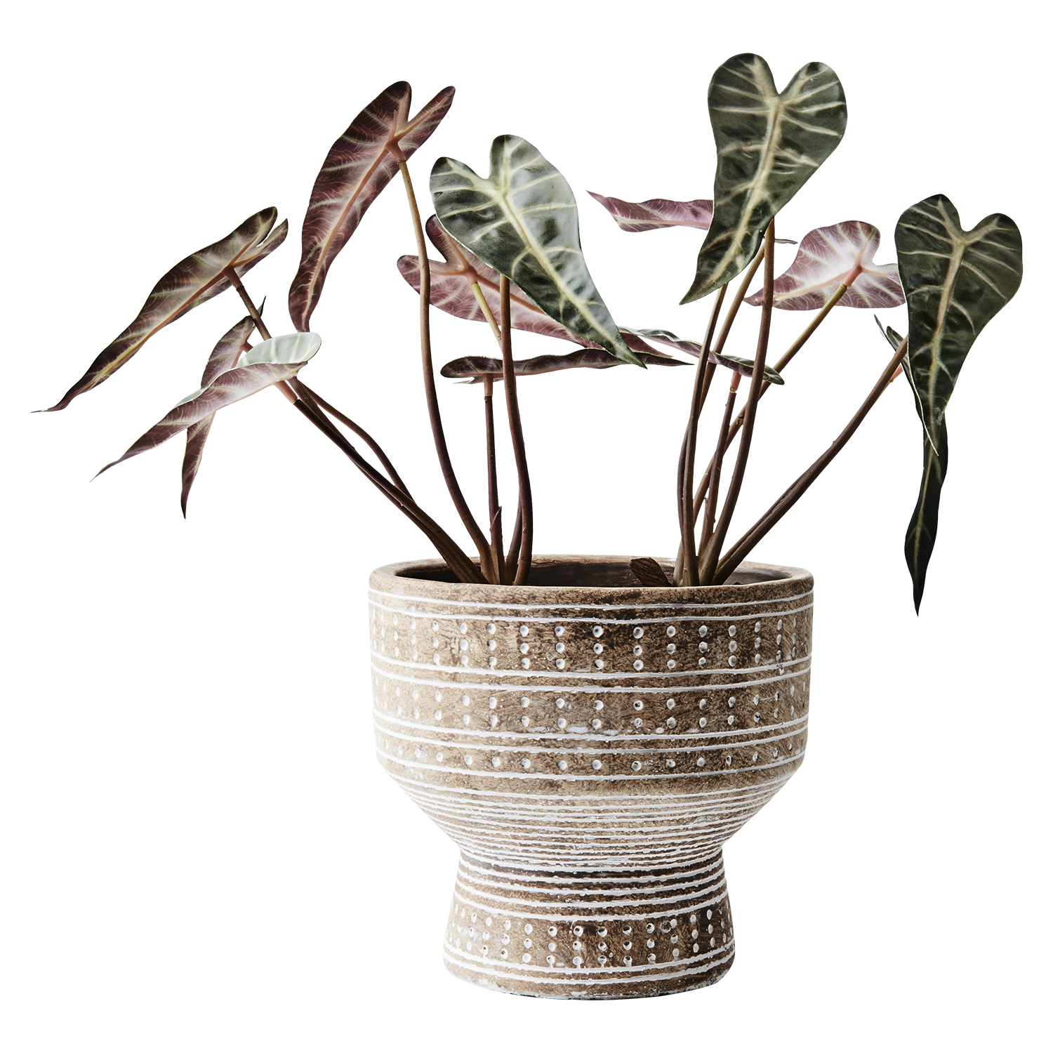 CAMILLE Kruka S, Beige