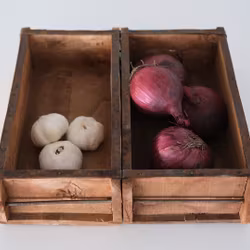 Vintage murstensform, 2 på rad