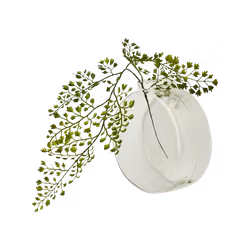 Munblåst väggvas, 16cm, Klarglas