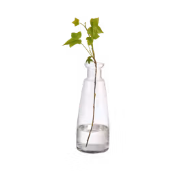 Munblåst vas i stilren design, 17cm, Klarglas