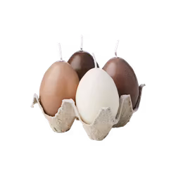 Figurljus Hönsägg, 4-pack, Brun/beige/elfenben