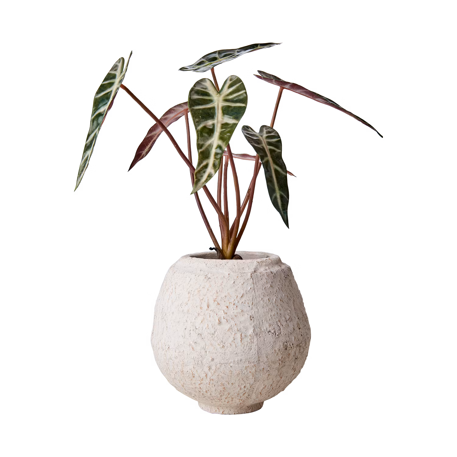 Kruka i elfenbensvit terrakotta, Ø16cm