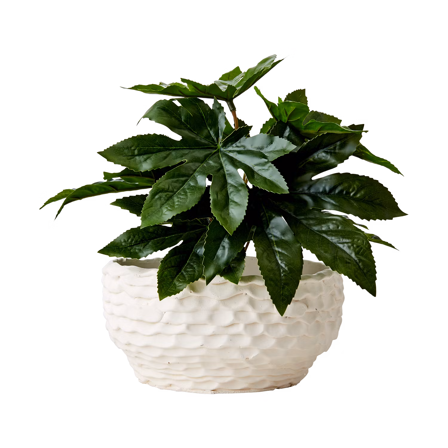 Kruka i betong, Ø22cm, Elfenben