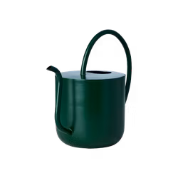 Vattenkanna, Grön