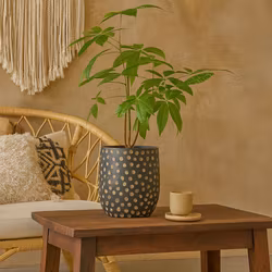 Kruka i betong, 20cm, Svart/brun