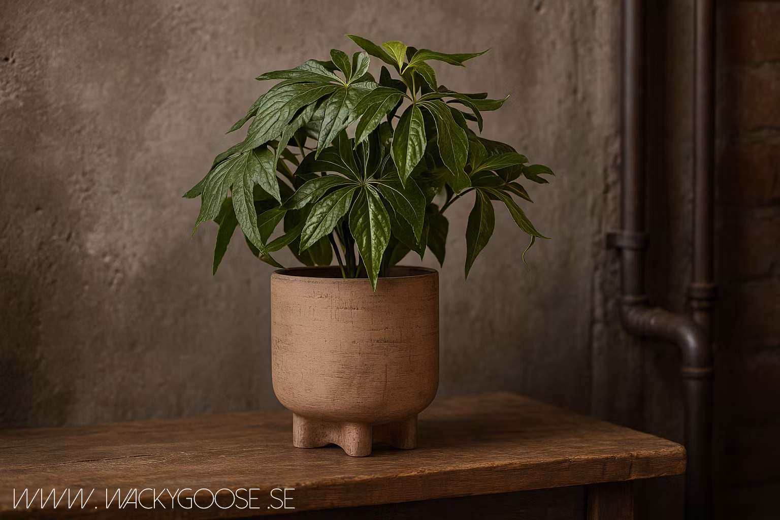 FUDGE Kruka L, Nougatbrun