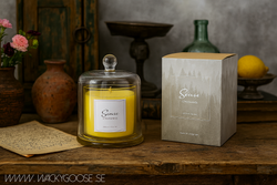 Doftljus med glaskupa, Citrus & basil