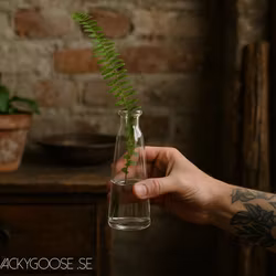 Munblåst vas i stilren design, 17cm, Klarglas