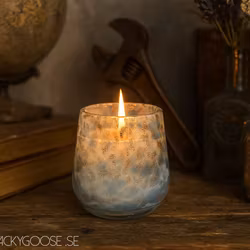 WILD Doftljus Tranbär