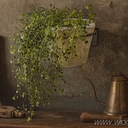 Krukhållare i järn, Rost, Ø20cm