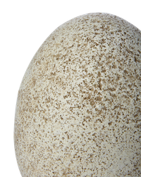 Dekorationsägg i stengods, 12cm