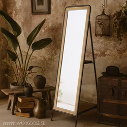 Helkroppsspegel i järn och trä - Förvaring på baksidan