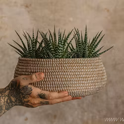 Urna/Kruka i betong, Ø25cm