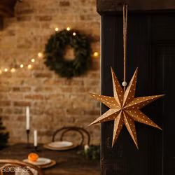 Stjärna Ø20, Brun/vit, Adventstjärna