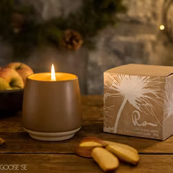 RO Doftljus Cinnamon & apple