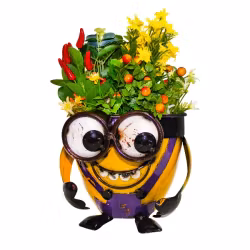 Crazy Me Pot – Look Down