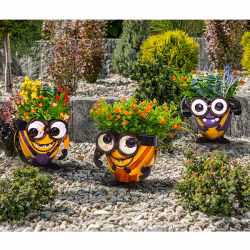 Crazy Me Pot – Look Down