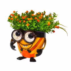 Crazy Me Pot – Look Up