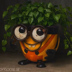 Crazy Me Pot – Look Up