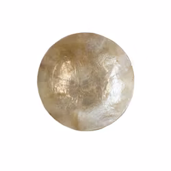 Handgjord skål av snäckskal, Natur