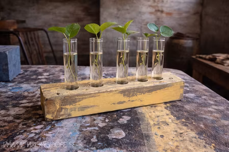 Sticklingvas / Sticklingblock, 5 vaser, Gul