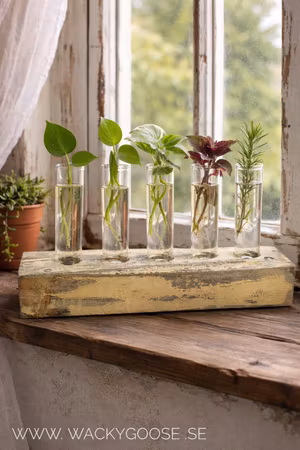 Sticklingvas / Sticklingblock, 5 vaser, Gul